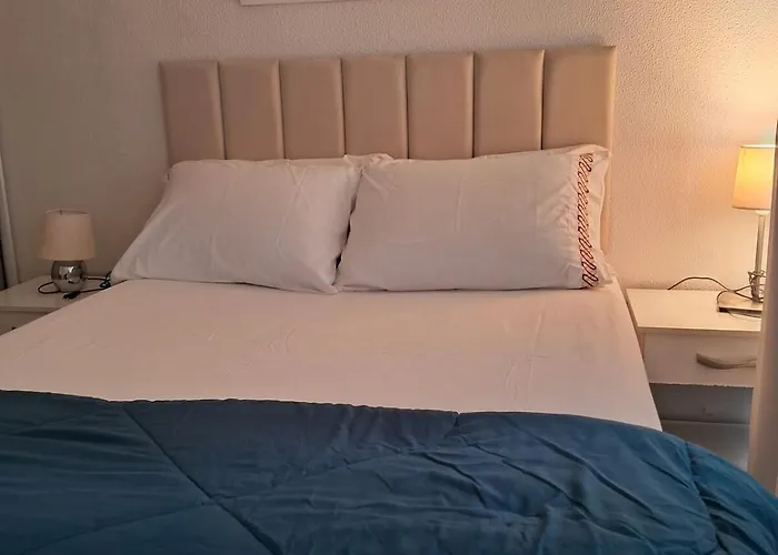 Apartamento Refúgio Perfeito E Seu Pet! *